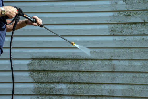 Best Residential Pressure Washing in Roanoke, TX